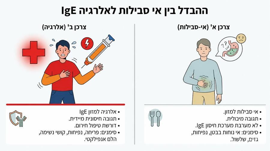 אינפוגרפיקה המבחינה בין אלרגיית IgE לאי-סבילות למזון